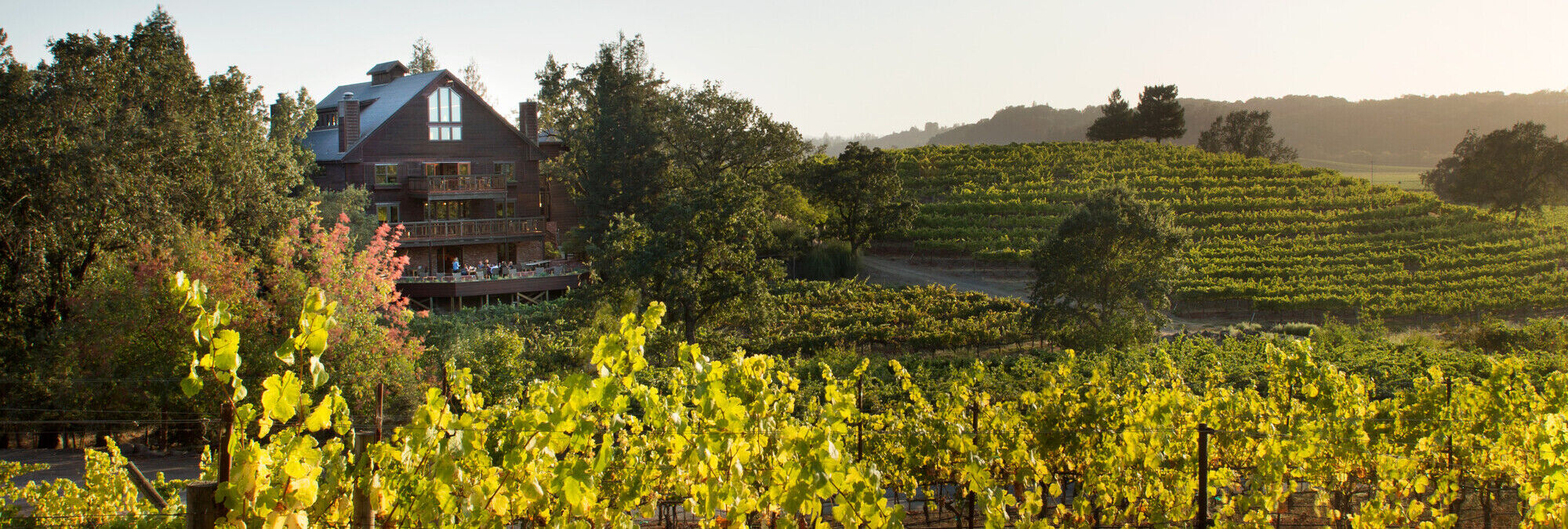 View of the La Crema estate at Saralee's vineyard